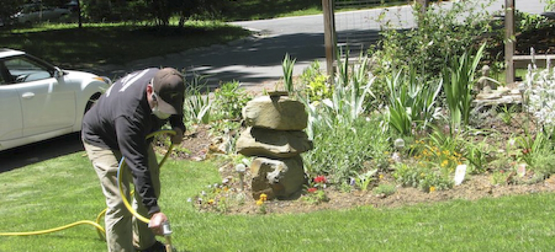 Tree Banding Professionals in Charlotte NC SilverDuck Tree Banding