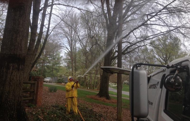 Tree Banding Professionals in Charlotte NC
